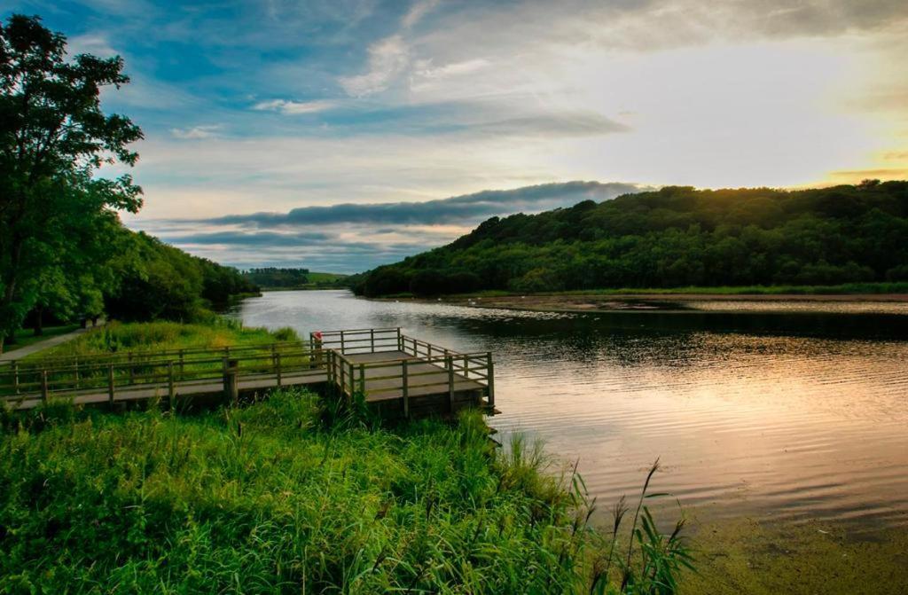Dunleath House Hotel Downpatrick Ngoại thất bức ảnh